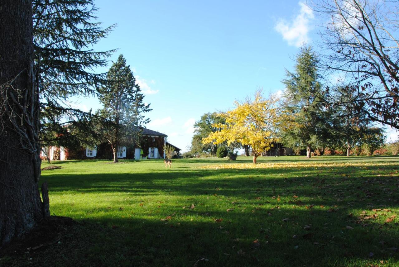 Le Chateau De Roquebere Condom Exterior photo